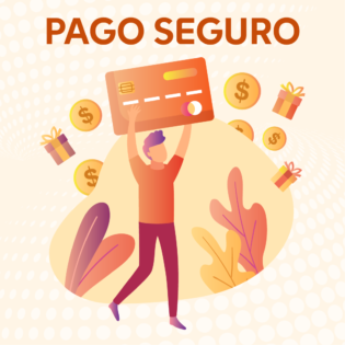 Pago seguro 1