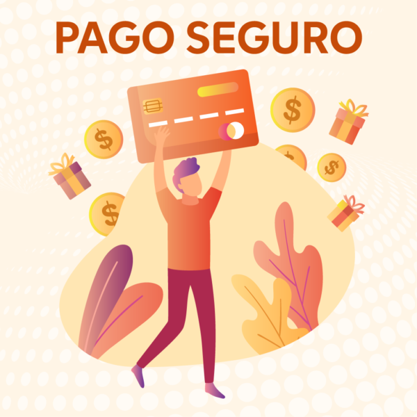 Pago seguro 1
