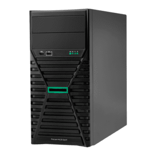 SERVIDOR HPE ML30 GEN11 INTEL XEON